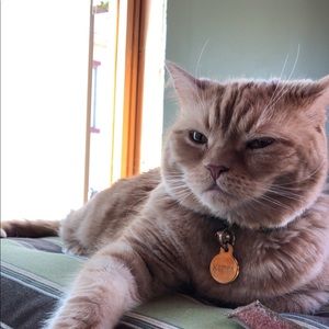 Meet your Posher, Patricia